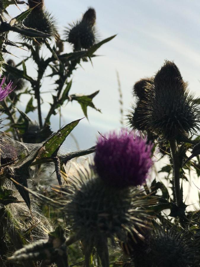 Bunnahabhain 5 - Farm Stay - Stunning Sea And Rural Views Stranraer Eksteriør bilde