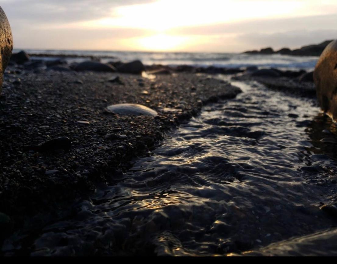 Bunnahabhain 5 - Farm Stay - Stunning Sea And Rural Views Stranraer Eksteriør bilde
