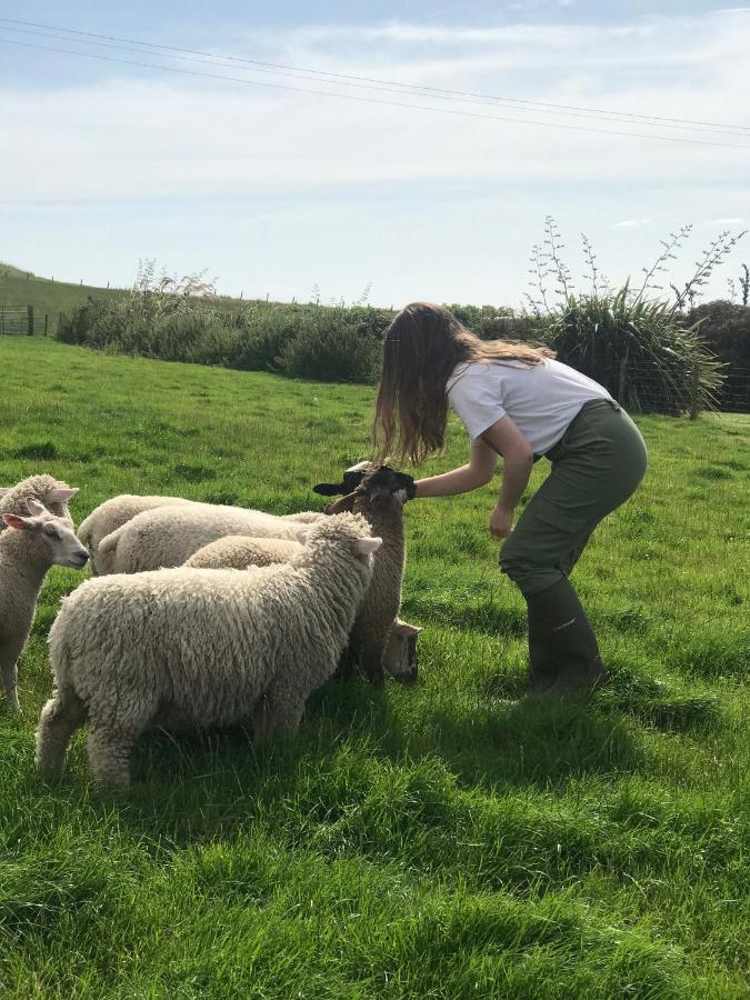 Bunnahabhain 5 - Farm Stay - Stunning Sea And Rural Views Stranraer Eksteriør bilde