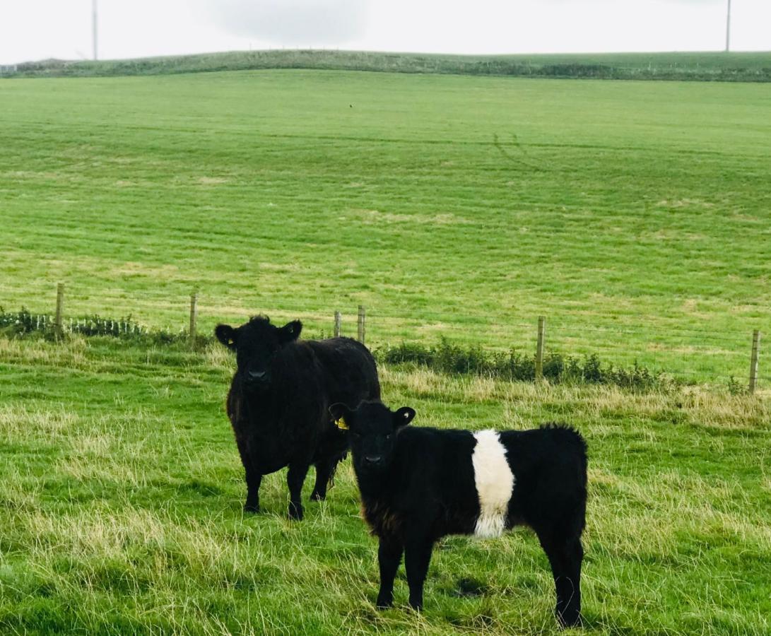 Bunnahabhain 5 - Farm Stay - Stunning Sea And Rural Views Stranraer Eksteriør bilde