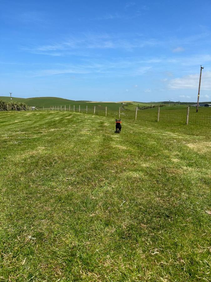 Bunnahabhain 5 - Farm Stay - Stunning Sea And Rural Views Stranraer Eksteriør bilde